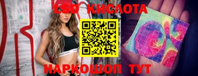 хмурый Краснодар